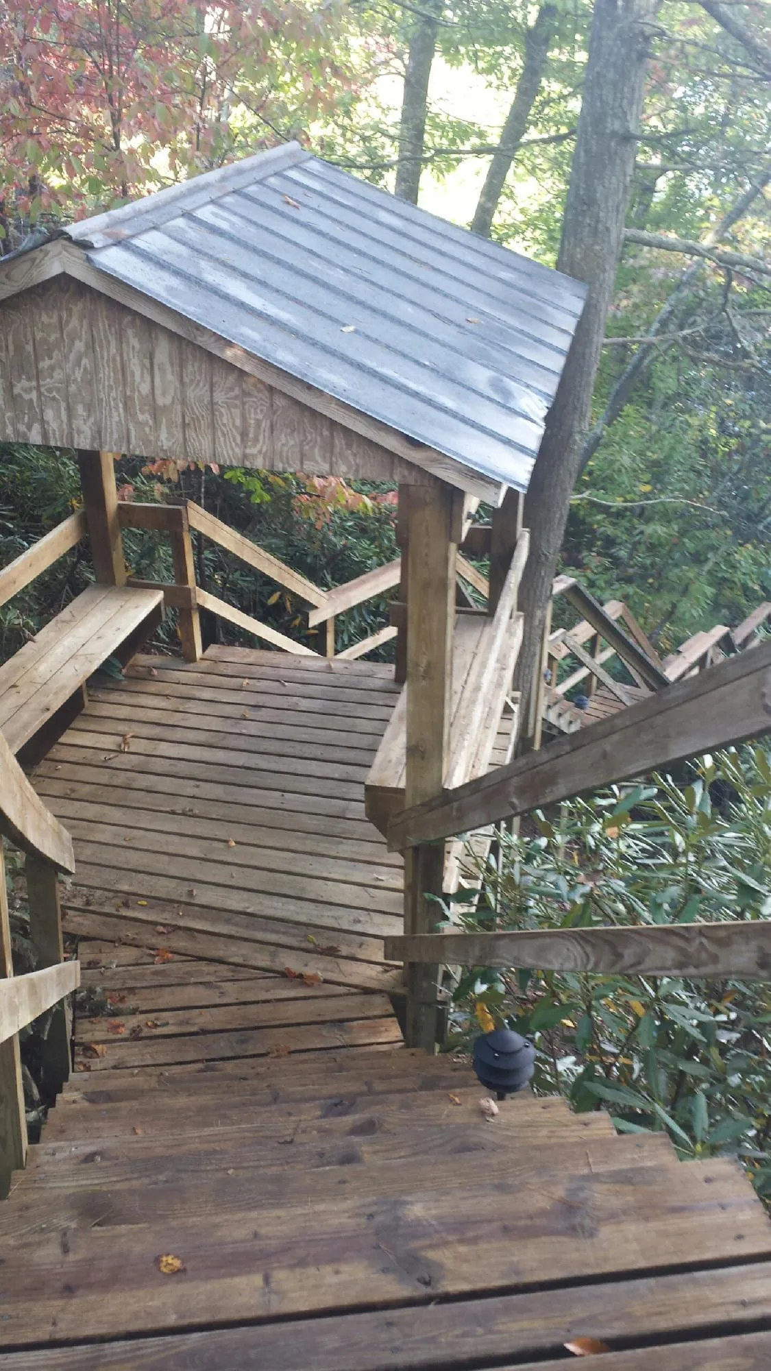 Metal roofed shelter over wooden steps on a wooded walkway — Skylight Repair & Installation work by our crew in Vashon