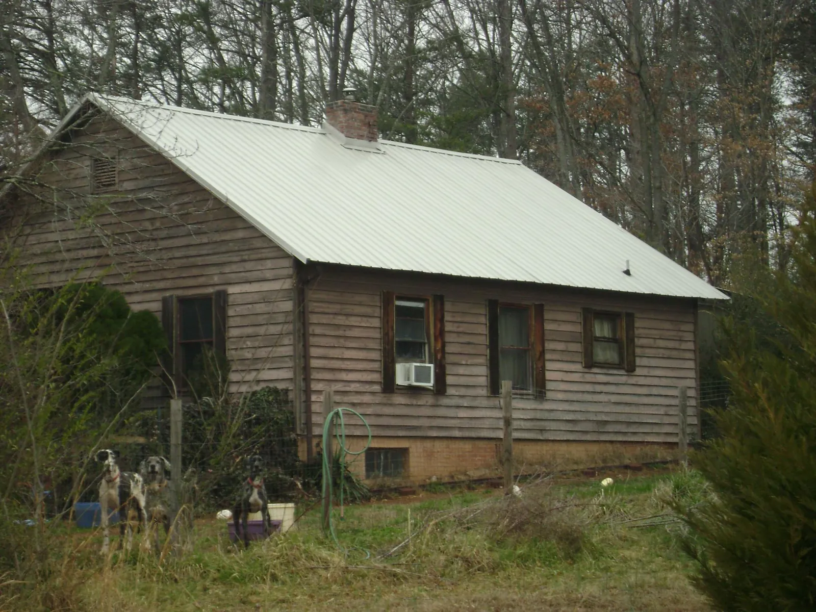 White metal roof on an old wood sided farmhouse, from a Metal Roof Installation job in Vashon